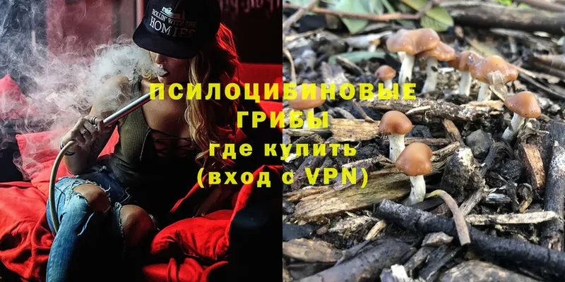 Псилоцибиновые грибы Magic Shrooms  наркошоп  Зея 